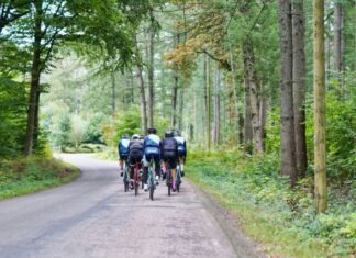 The Best Summer Masks for Cyclists and Runners people riding bicycles on road during daytime