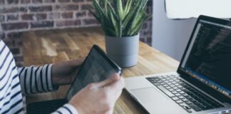 aloe vera plant on grey pot on table with MacBook Pro and iPad
