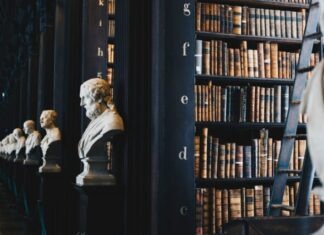 5 Most Common Reasons for Seeking Legal Help book lot on black wooden shelf