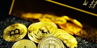 gold and silver round coins