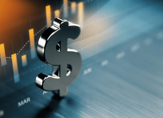 Portfolio investments with DotBig Forex Broker