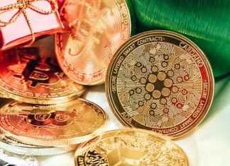 How to Choose the Best Type of Crypto for Your Investment?