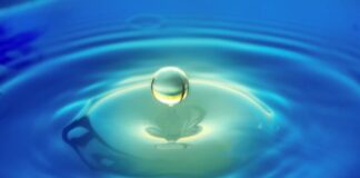 macro photography of teardrop