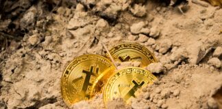 three Bitcoins on soil
