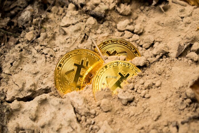 Photo by Dmitry Demidko three Bitcoins on soil