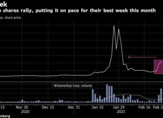 GME Stocktwis Interact with other Investors and Traders