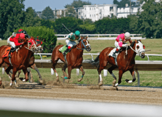 The Pros and Cons of Breeders Cup Ante-Post Betting