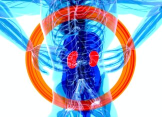 Four Ways to Promote Kidney Health