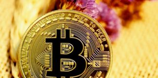 gold and black round coin