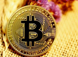 Some Important Details to Professional Bitcoin Dealings gold and black round coin