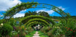 single perspective of pathway leading to house