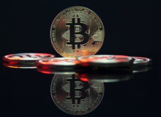 Several reasons behind the worldwide adoption of bitcoin