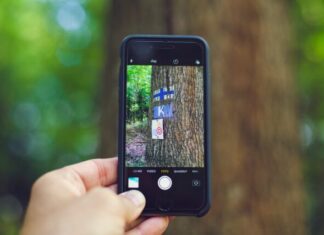 How to Remove JPEG Artifacts and Improve Your Images person taking photo of tree using space gray iPhone 6