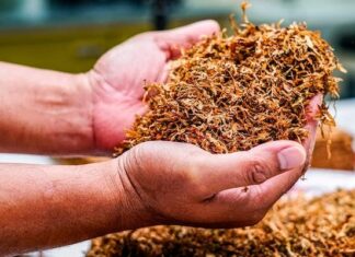 The Ultimate Guide to Hookah Tobacco img