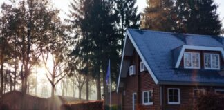 brown and red house near trees