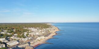 aerial view of city buildings near body of water during daytime