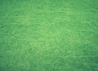 An Expert Guide On Installing The Base For Artificial Grass lawn, grass, artificial grass