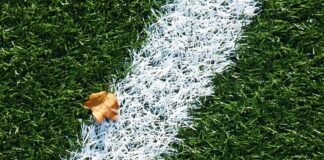 artificial turf, soccer, sports