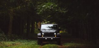 black Jeep Wrangler SUV on green under trees