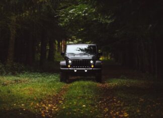 How to Prepare Your Jeep for an Off-Road Trip black Jeep Wrangler SUV on green under trees