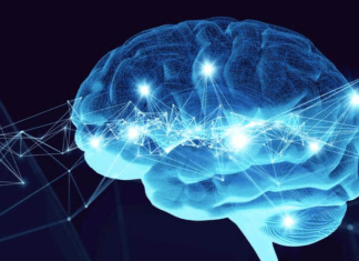 Unlocking the Benefits of Bingo: How It Can Improve Your Brain Health
