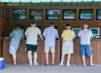 Professional bettors, recreational bettors or fan bettors: which one are you?