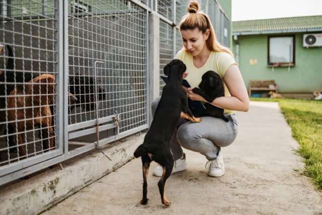 a-person-petting-a-dog-description-automatically A person petting a dog Description automatically generated with medium confidence