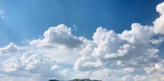 green grass field near lake under white clouds and blue sky during daytime