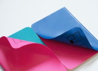 BitTorrent and the Future of Decentralized Entertainment two pink and blue books