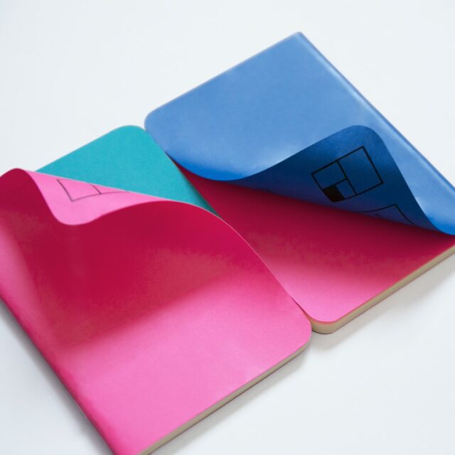 Photo by Laika Notebooks two pink and blue books