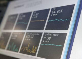 Analyzing the Effects of Detroit’s Economy, Online Betting, and Lion Conservation on the Casino Industry