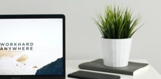 MacBook Pro near green potted plant on table