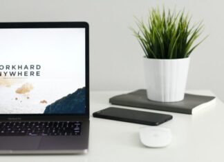AI Website Builder vs. Hiring a Web Developer MacBook Pro near green potted plant on table
