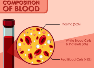 The role of Sarpogrelate hydrochloride in platelet activation 1682401464173