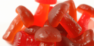 Best Mushroom Gummies To Try in 2023