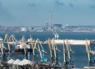 Oil Trading 101: The Basics of Supply and Demand white and blue ship on sea during daytime