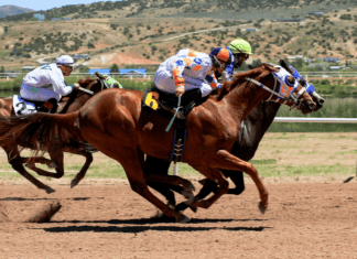 5 Betting Tips You Can Use on the 2023 Belmont Stakes