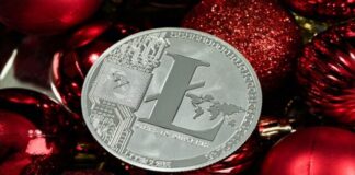 A silver coin with a litecoin logo on top of red ornaments Description automatically generated with low confidence