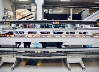 How Can Buying Used Benefit Your Food Processing Operations img