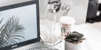 turned-on Asus laptop near eyeglasses, succulent plant, and empty clear glass bottle
