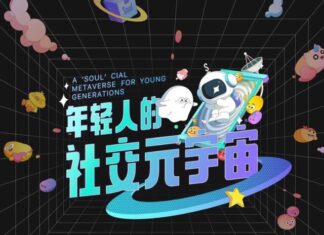 User-Centred Innovation: Soul App’s Drive for Inclusive Social Networking 元宇宙