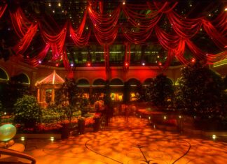 Online Casino Bonus Knowledge Base a large room with a lot of plants and lights
