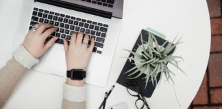 person using laptop computer beside aloe vera