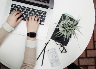 How to Choose the Best Type of Customer Account Registration for Your Business person using laptop computer beside aloe vera