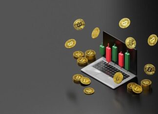 Navigating the Highs and Lows in the Crypto Market
