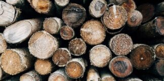 brown and black wood logs