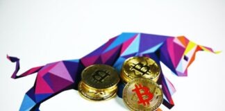 gold and silver round coins