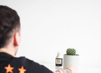 Plant Care and Identification Applications