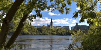 A river with trees and a city in the background Description automatically generated