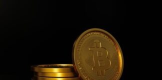 a pair of gold coins